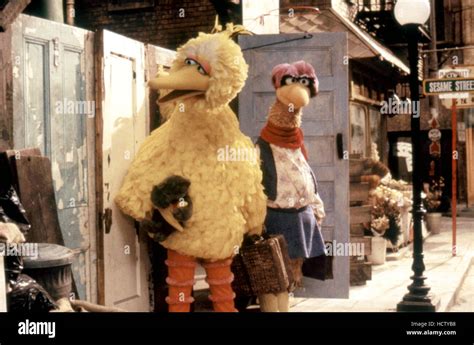 sesame street 1983 big bird egg|ms finch follow that bird.